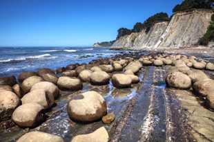 Bowling Ball Beach-2198